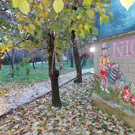 Nicolaus Hidden Gem Villa Shkodër エクステリア 写真