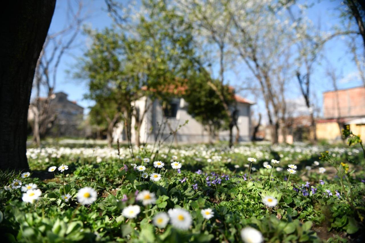Nicolaus Hidden Gem Villa Shkodër エクステリア 写真
