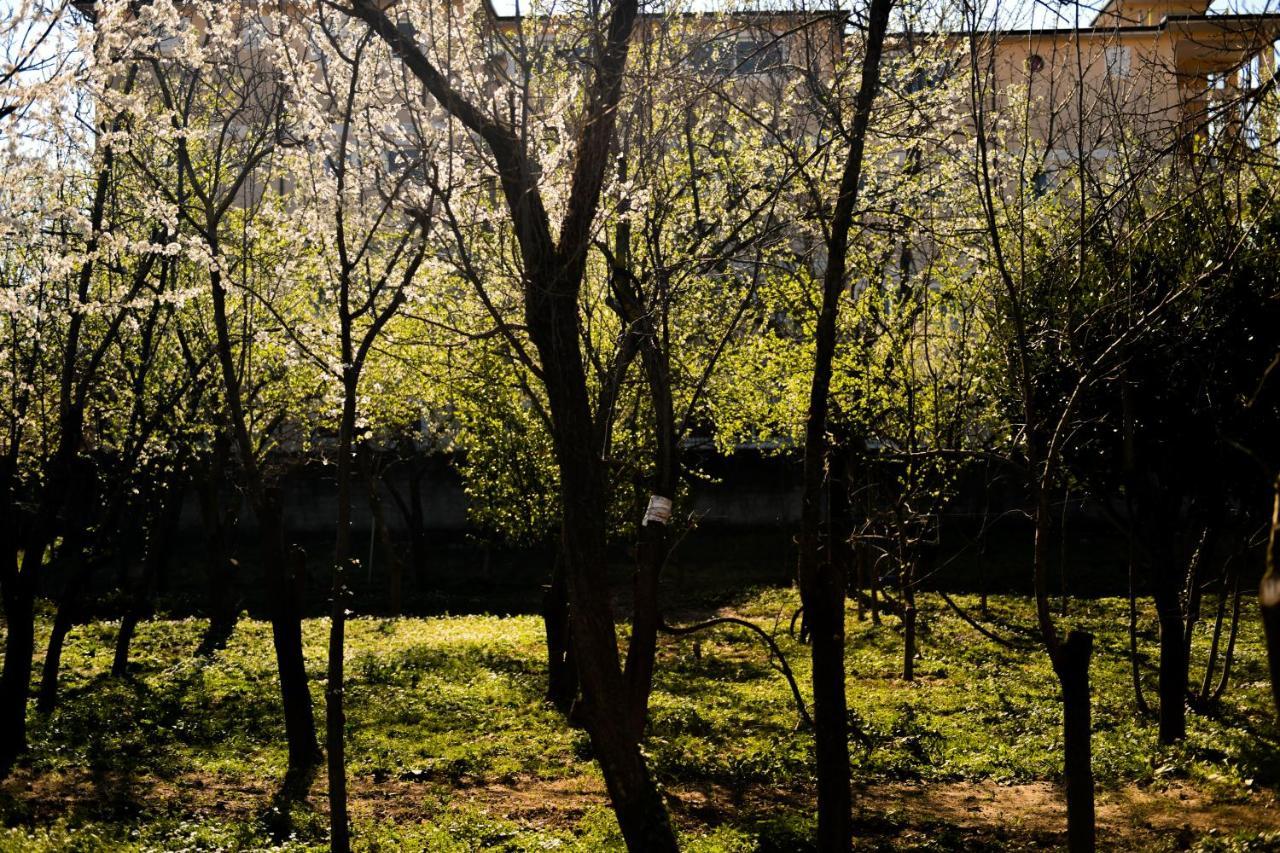 Nicolaus Hidden Gem Villa Shkodër エクステリア 写真