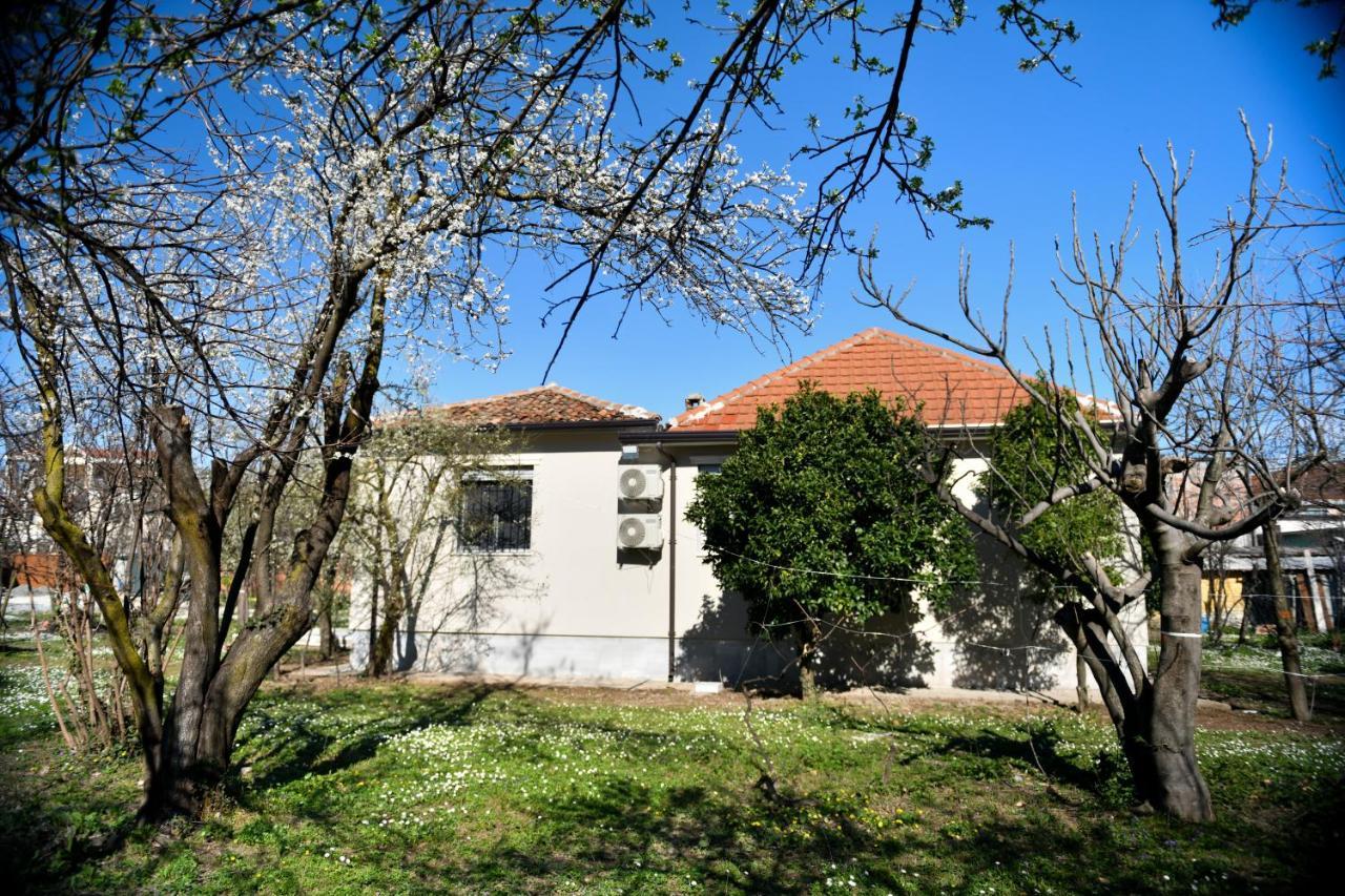 Nicolaus Hidden Gem Villa Shkodër エクステリア 写真