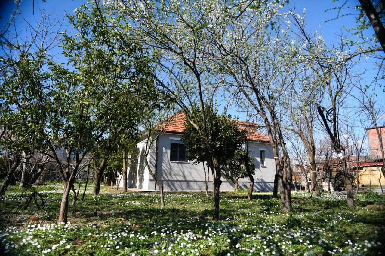 Nicolaus Hidden Gem Villa Shkodër エクステリア 写真