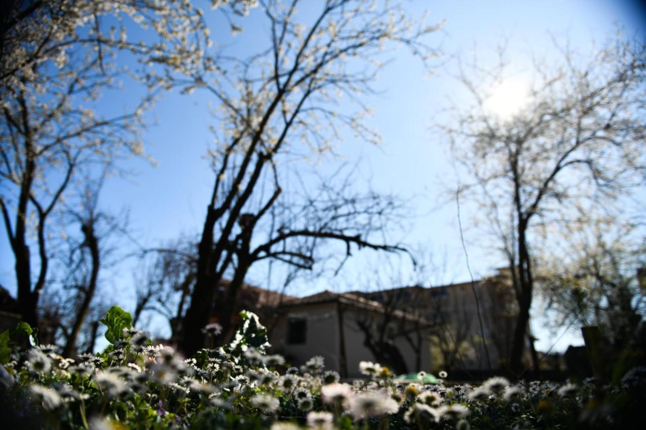 Nicolaus Hidden Gem Villa Shkodër エクステリア 写真