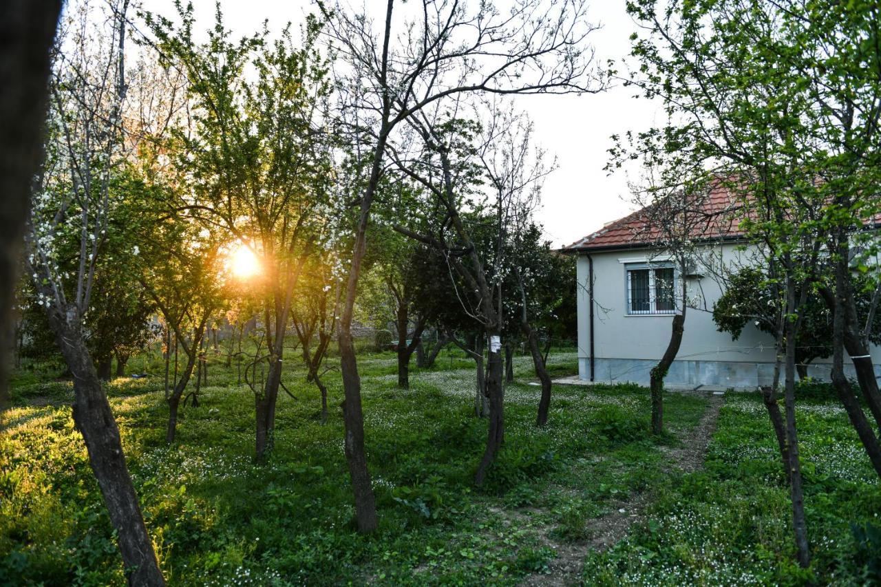 Nicolaus Hidden Gem Villa Shkodër エクステリア 写真