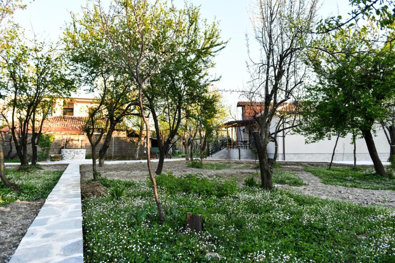 Nicolaus Hidden Gem Villa Shkodër エクステリア 写真