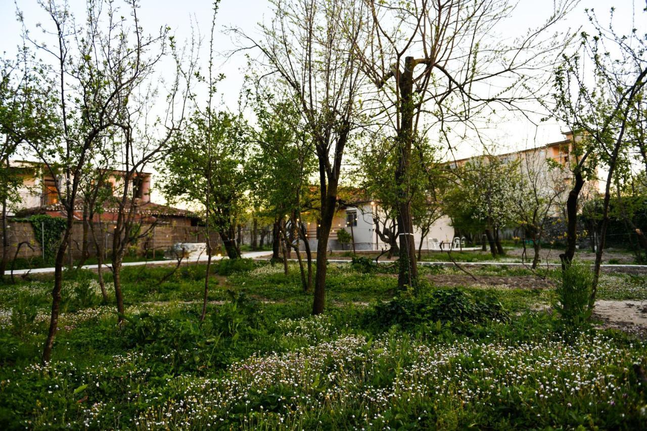 Nicolaus Hidden Gem Villa Shkodër エクステリア 写真