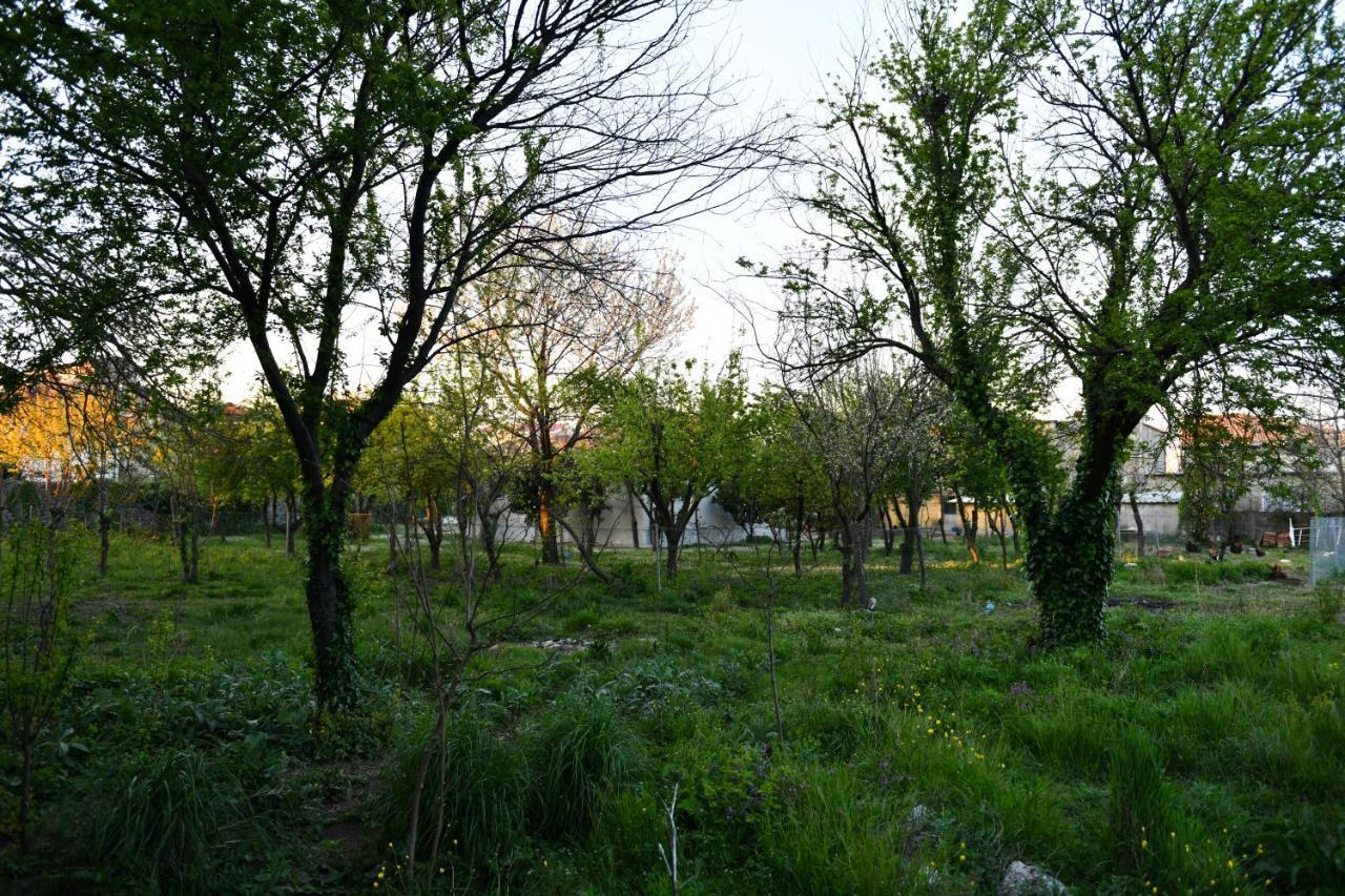 Nicolaus Hidden Gem Villa Shkodër エクステリア 写真