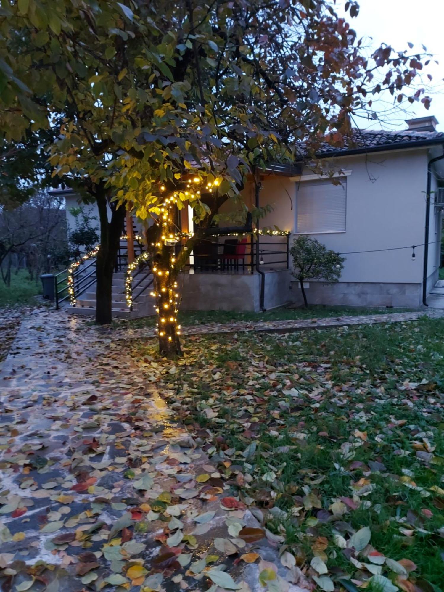 Nicolaus Hidden Gem Villa Shkodër エクステリア 写真