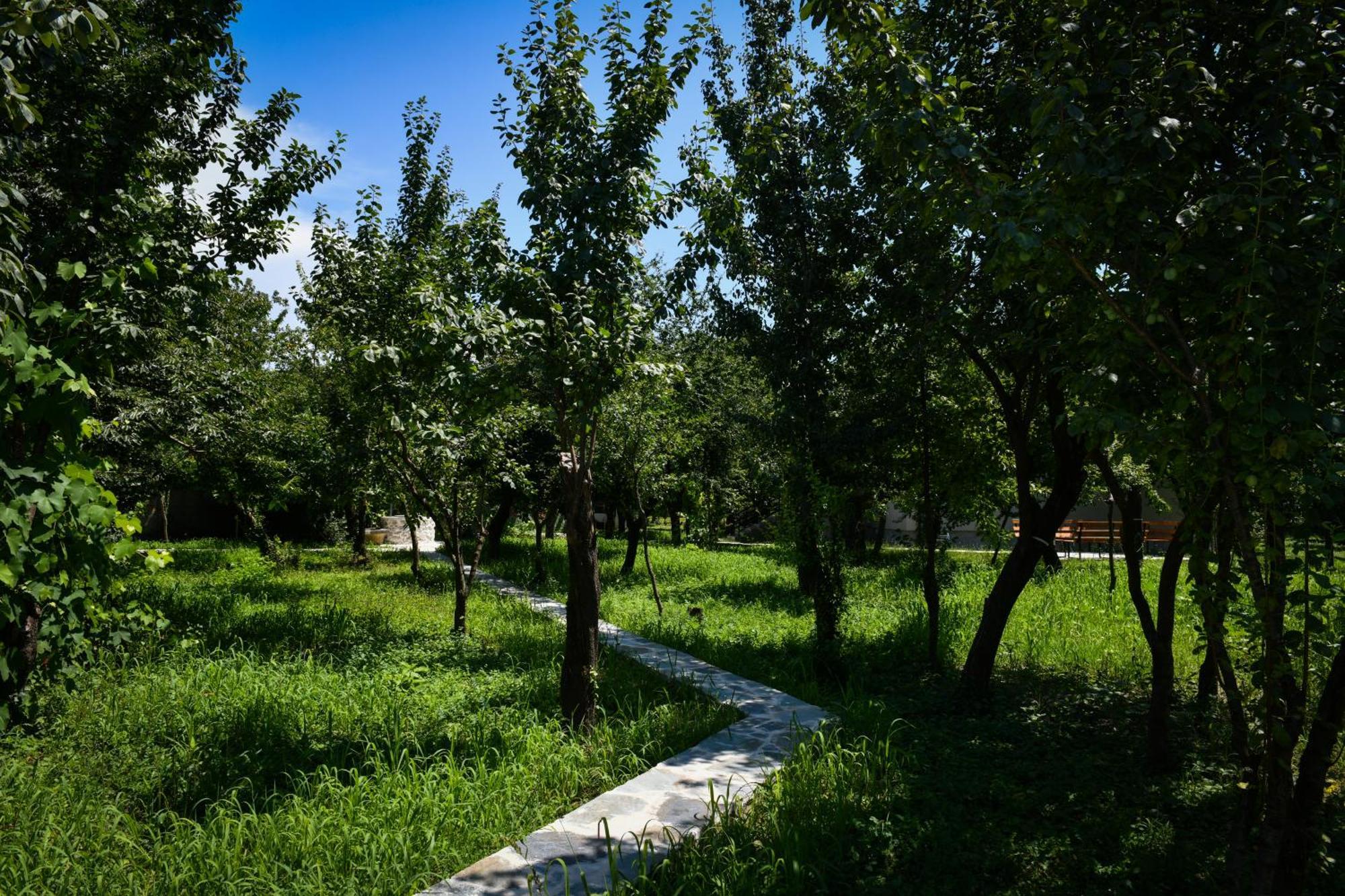 Nicolaus Hidden Gem Villa Shkodër エクステリア 写真