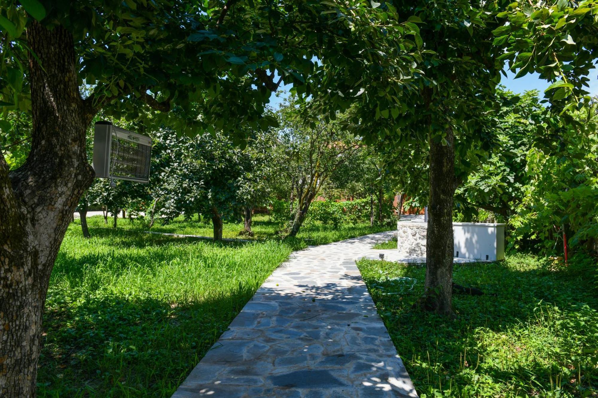 Nicolaus Hidden Gem Villa Shkodër エクステリア 写真